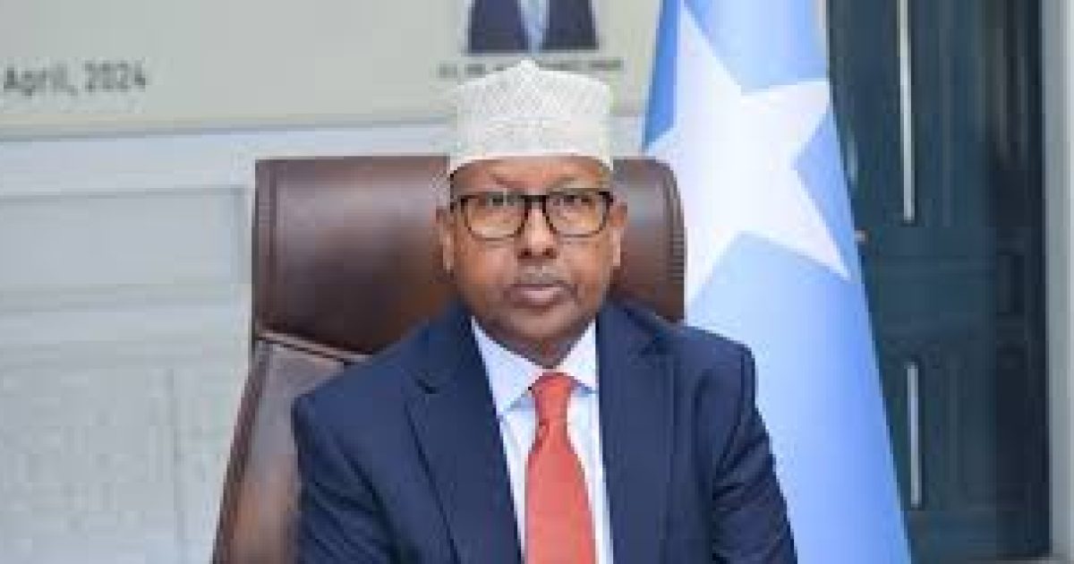 Wasiir Fiqi oo faahfaahiyay tirada Khawaarijta looga dilay hawlgalkii Shabeellaha Hoose