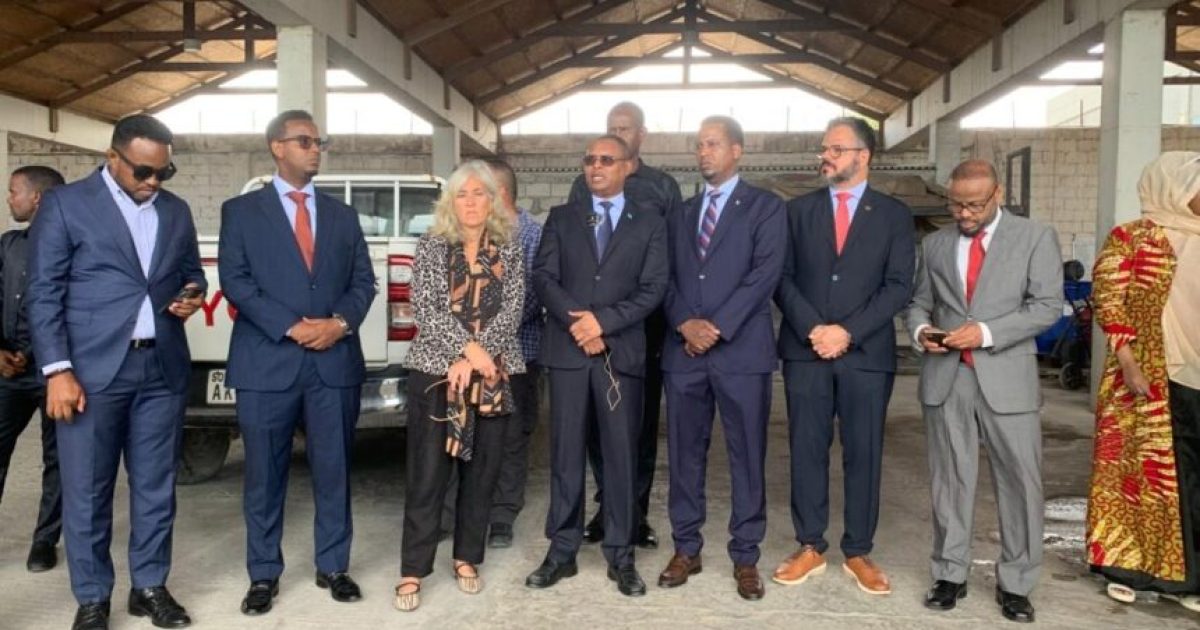 Dowladda oo dalka kusoo celisay muwaadiniin laga soo daayay xabsiyada Libya