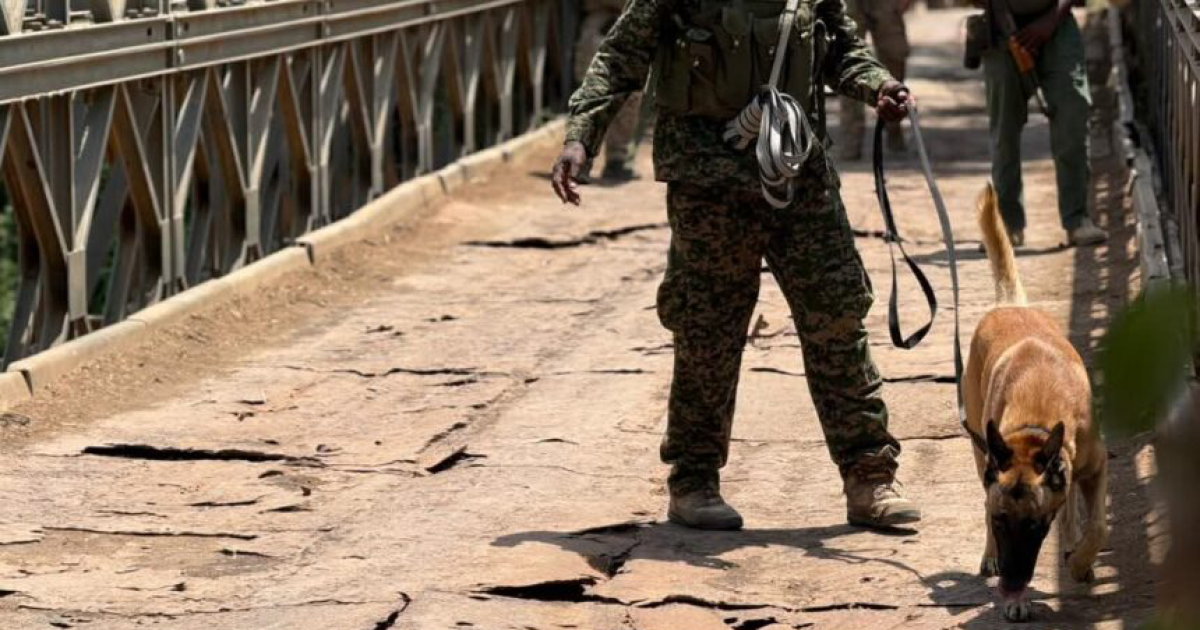 Ciidanka Xoogga Dalka oo hawlgal miino-baaris ah ka bilaabay deegaannadii laga xoreeyay Khawaarijta