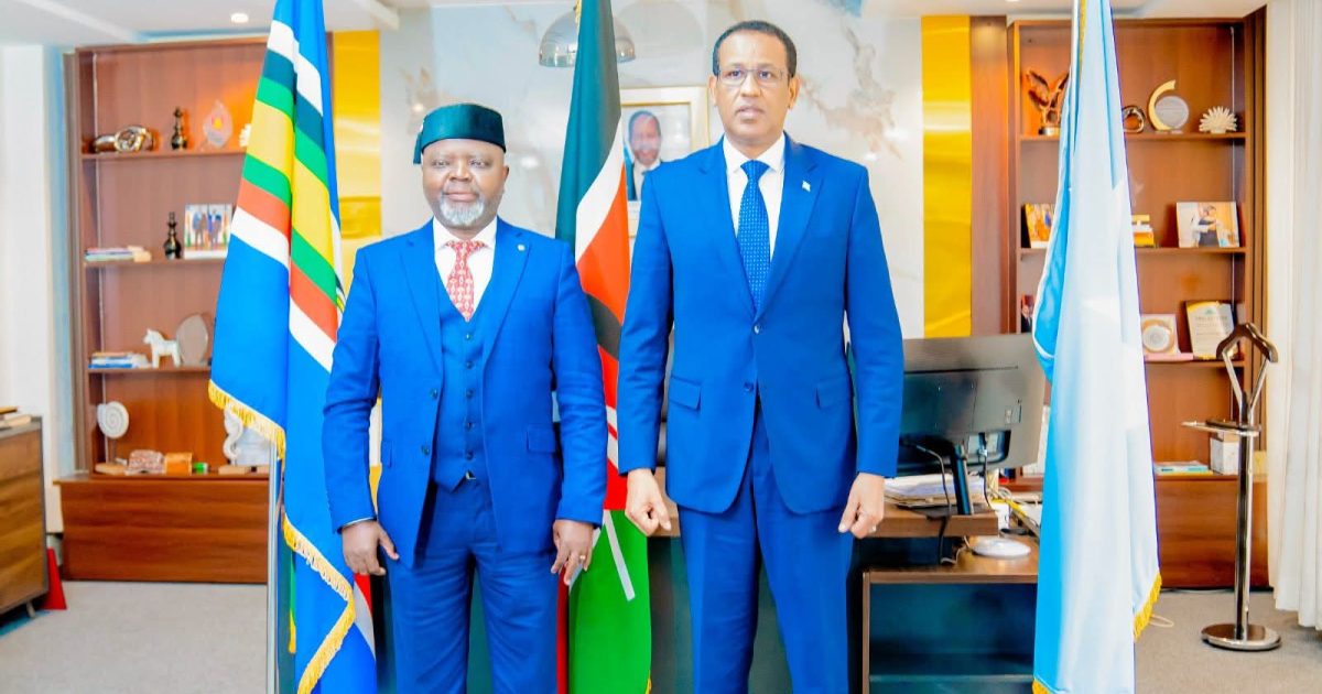 Danjire Jabriil oo qaabilay Guddoomiye ku-xigeenka Aqalka Sare ee Kenya