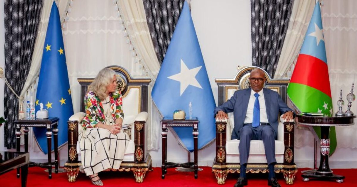 Madaxweynaha Koonfur Galbeed oo la kulmay Safiirka Midowga Yurub ee Soomaaliya