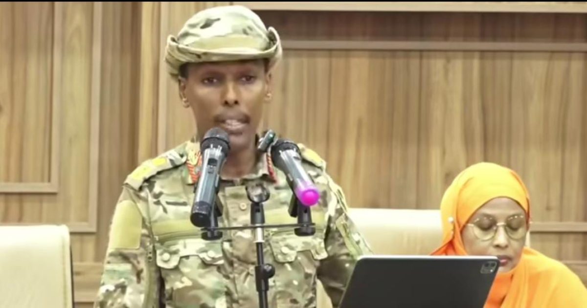 Taliyaha CXDS “howlgallada ‘Kaaha Waaberi’ iyo ‘Ileys’ ayaa si weyn u naafeeyay Khawaarijta”.