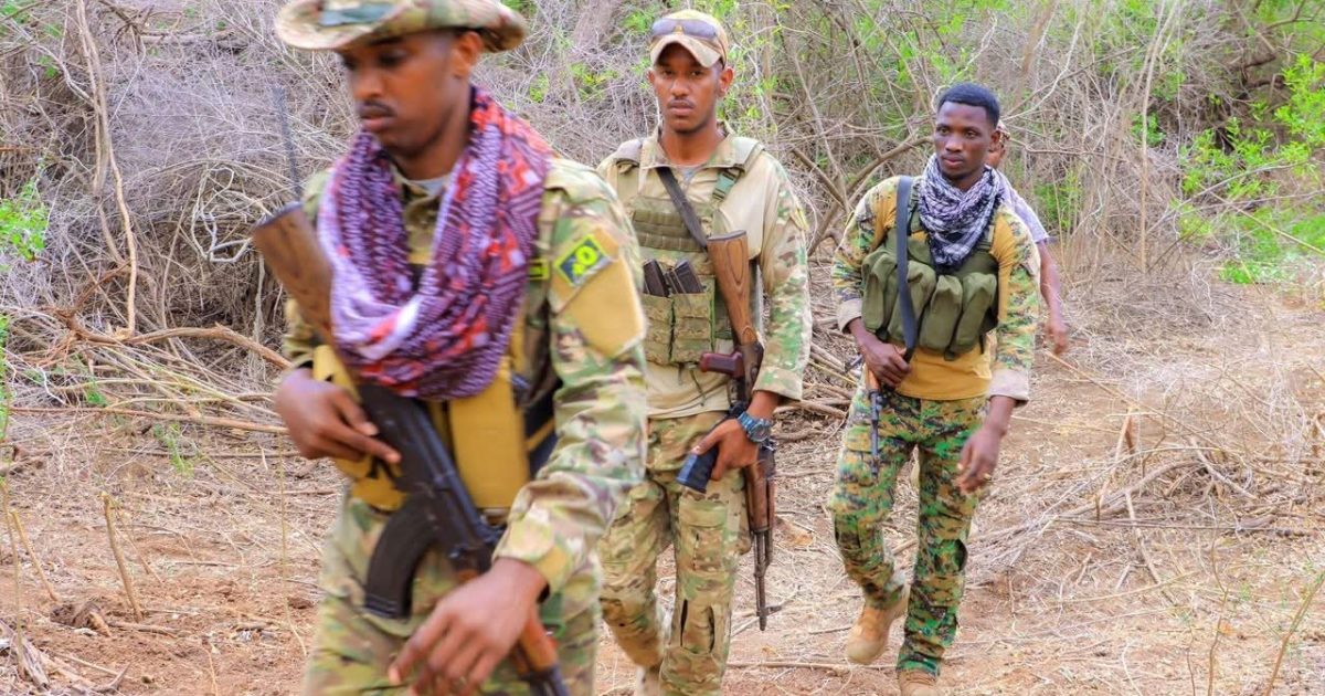 Ciidanka Xoogga oo howlgallo ka dhan ah khawaarijta ka wada gobolka jubbada Hoose