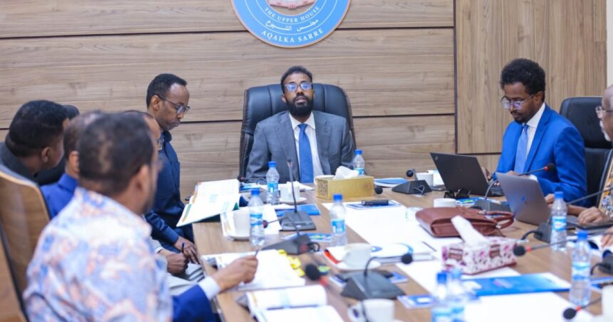 G/ Ku-xigeenka koowaad Aqalka Sare oo kormeer ugu tagay Guddiga dib-u-eegista Dastuurka