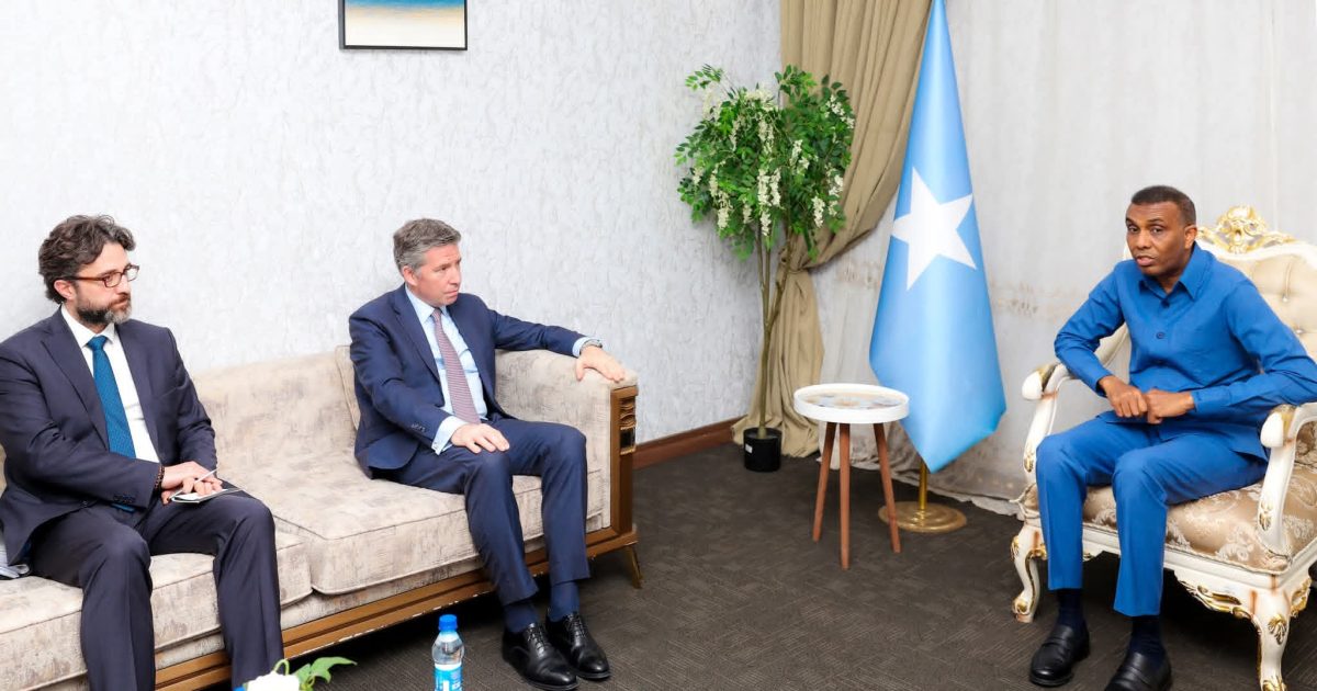 Ra’iisul Wasaare Xamsa oo qaabilay wafdi ka socda Dowladda Turkiga