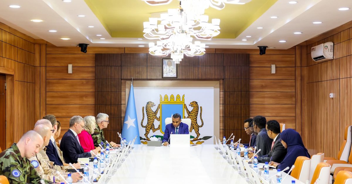 Ra’iisul Wasaaraha Soomaaliya oo Kulan la qaatay Wafdi heer sare ah oo ka socday Midowga Yurub.