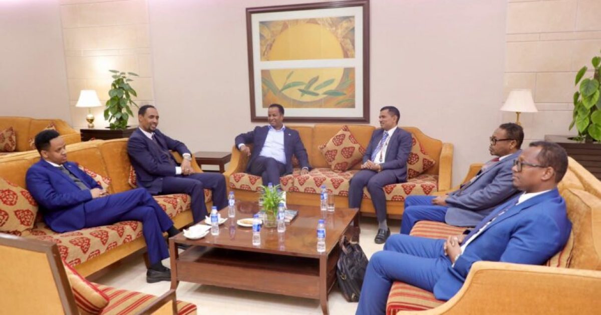 Soomaaliya oo ka Qeyb Galeysa Shirka Wasiirrada Arrimaha Dibadda ee dalalka Carabta iyo Hindiya