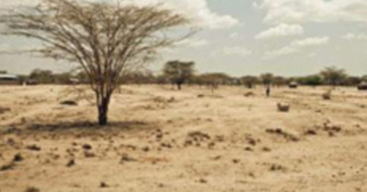 Abaar daran oo saameysay dadka iyo duunyada oo ka taagan gobolka Mudug.