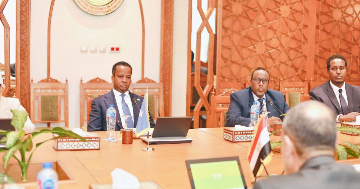 Soomaaliya iyo Masar oo Yeeshay La-Tashiyo ay ku Xoojinayaan Iskaashiga Istaraatiijiga ah ee Labada Dal