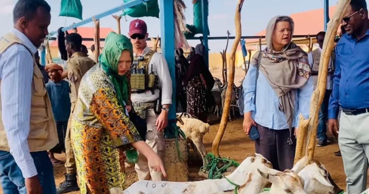 Wasiirka Xanaanada Xoolaha Galmudug oo Kormeeray Suuqa Xoolaha