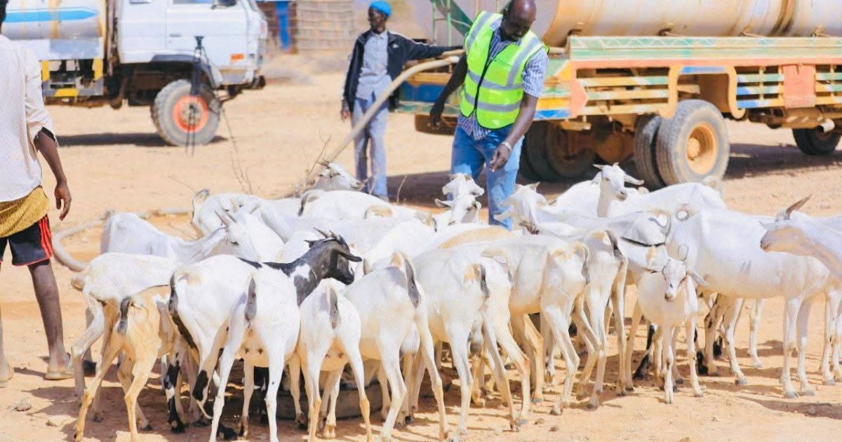 Senator Xasan Kobac oo markale biyo dhaamin u sameeyay qoysas danyar ah