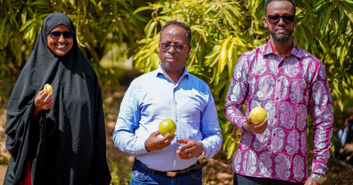 Wasiirka Beeraha iyo Waraabka XFS oo kormeer shaqo ku tagay qaar kamid ah beeraha degmada Afgooye