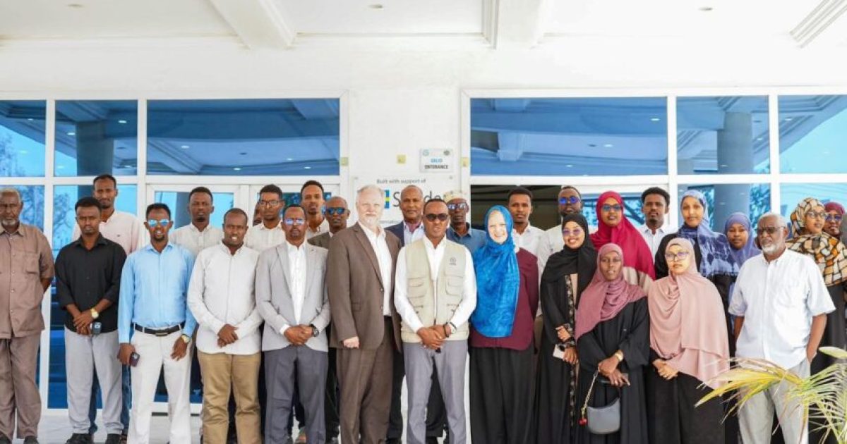 Guddoomiyaha SoDMA oo Muqdisho ku soo dhoweeyay wafdi sare oo ka socda Sweden