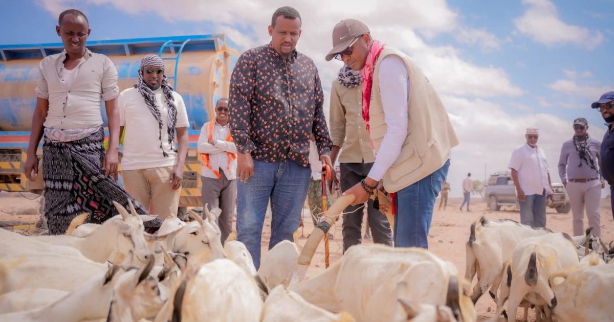 Guddoomiyaha Hay’adda SoDMA oo ku wareejiyay Maamulka iyo Guddiga Abaaraha booyado  biyo ah