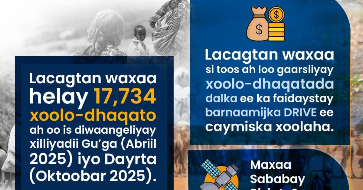DFS oo bixisay US$3.88 Milyan oo Caymis Takaful ah oo gaadhay 17,734 Xoolo-dhaqato