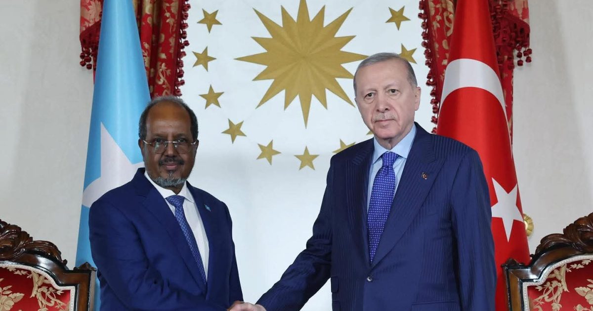Madaxweyne Xasan Sheekh oo kulan la yeeshay Madaxweyne Erdoğan