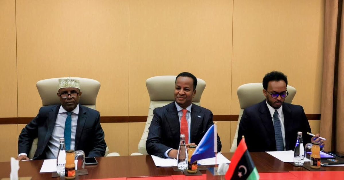 Dowladda Soomaaliya oo dib dalka ugu soo celinaysa 400 Muwaadiniin Soomaaliyeed oo jooga Libya