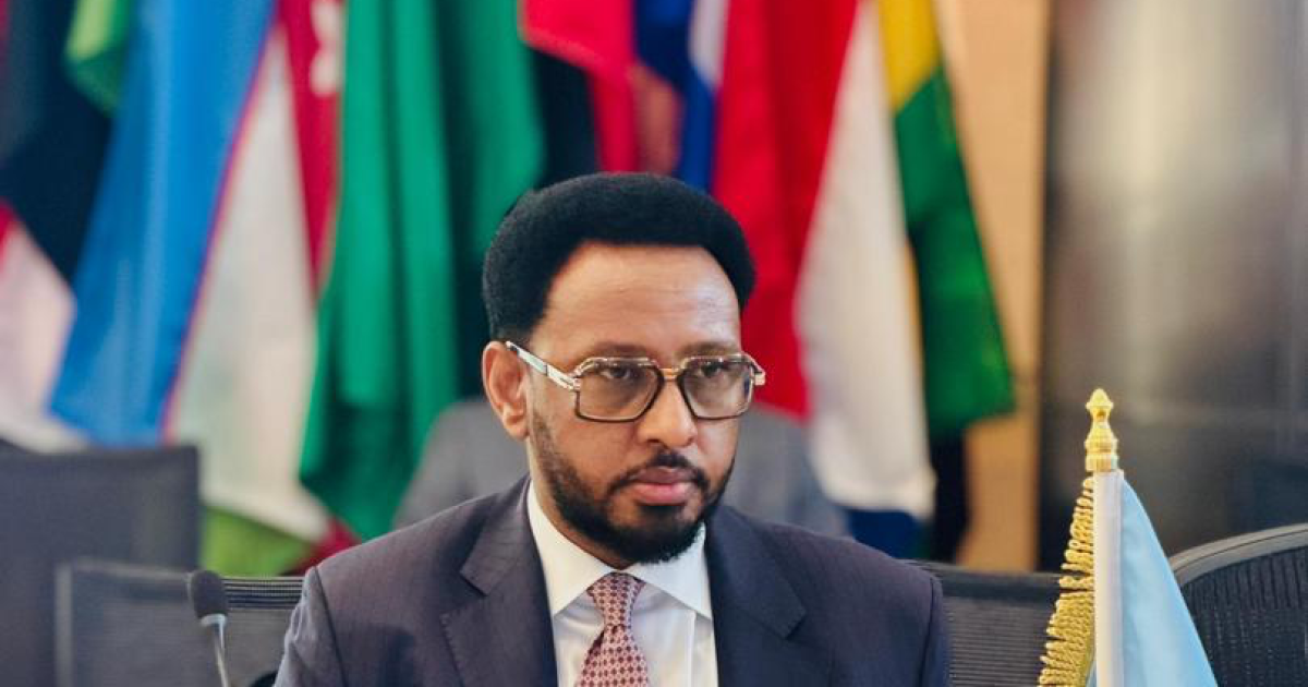 Wasiirka Maaliyadda oo ka warbixiyay Shir-Sanadeedka Gugga(Spring Meetings) oo Soomaaliya ay ka qayb gashay sanadkan