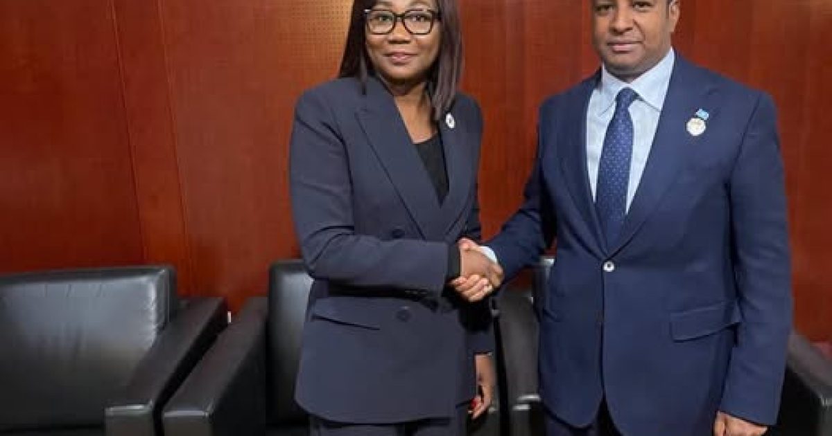 Soomaaliya iyo Jamhuuriyadda Afrikada Dhexe oo xoojinaya xiriirka labada dhinac ee Golaha Fulinta Midowga Afrika