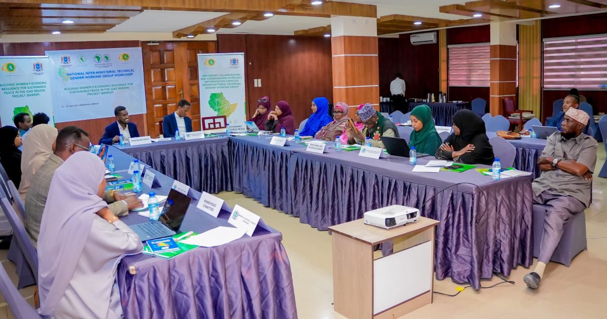Masuuliyiin ka socday Wasaaradaha DFS oo Muqdisho uga qaybgalay tababar lagu horumarinayo haweenka