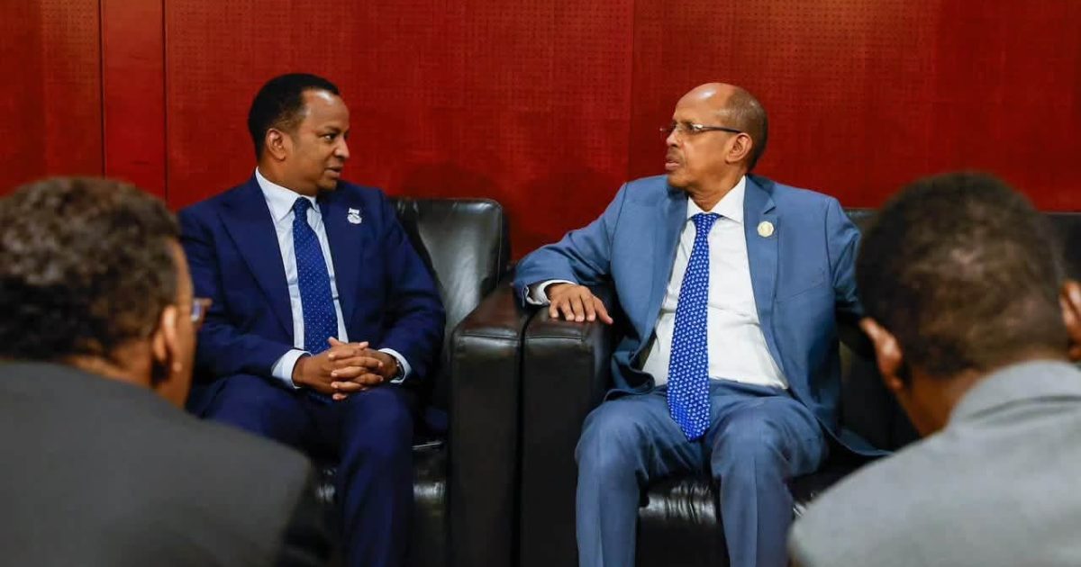 Wasiirka  Arrimaha Dibadda XFS oo Kulan La Qaatay Guddoomiyaha Guddiga Midowga Afrika