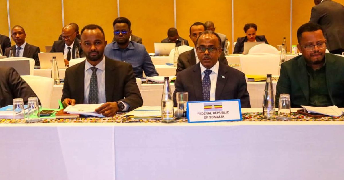 Soomaaliya Oo Dadaal ku bixineysa Horumarinta iyo Matalaadda Hay’adaha EAC