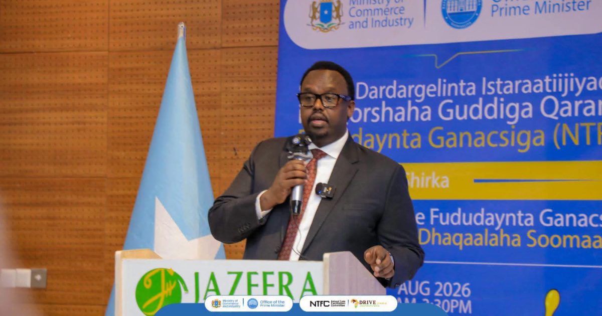 Ra’iisul Wasaare Ku-xigeenka XFS oo daah-furay Shirka Dardargelinta Istaraatiijiyadda iyo Qorshaha Guddiga Qaran ee Gancsiga