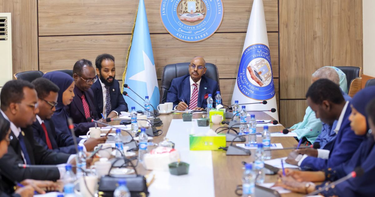 Guddiga Arrimaha Bulshada Aqalka Sare oo Xog-wareysi la yeeshay Wasiirka Dhallinyarada